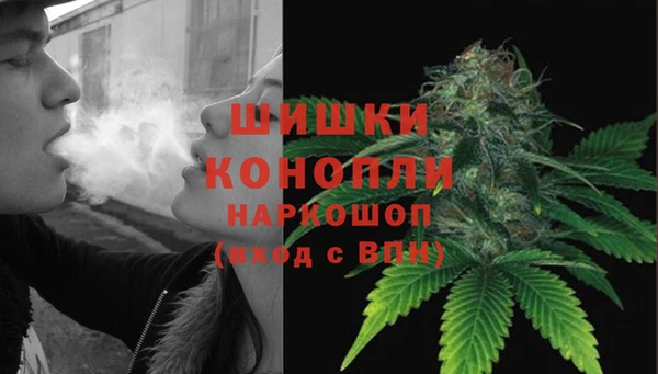 стаф Белокуриха