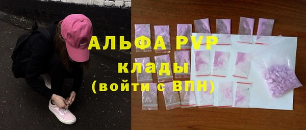стаф Белокуриха