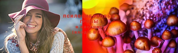стаф Белокуриха