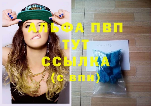 прущие грибы Белоозёрский