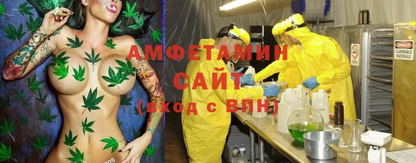 прущие грибы Белоозёрский