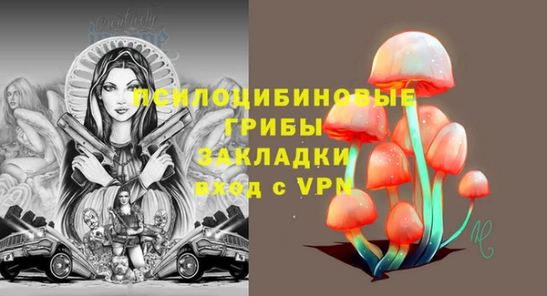прущие грибы Белоозёрский