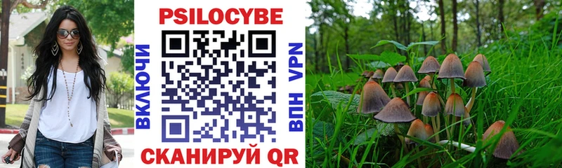 Галлюциногенные грибы Magic Shrooms Свободный